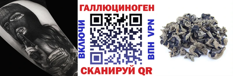 Псилоцибиновые грибы мицелий  Купить закладки  Чекалин 